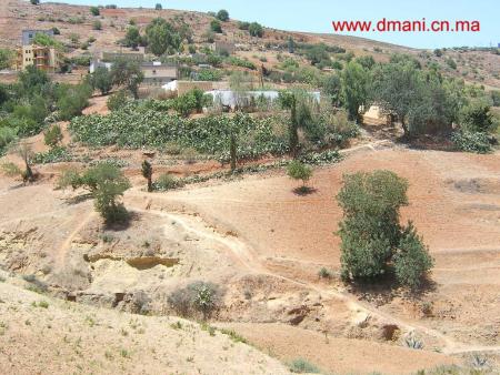 temsamane